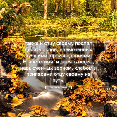 Picture 05 - Бытие 45:23 RUSV - также и отцу своему послал - Bible Verse Picture