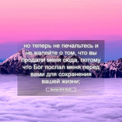 Picture 05 - Бытие 45:5 RUSV - но теперь не печальтесь и - Bible Verse Picture