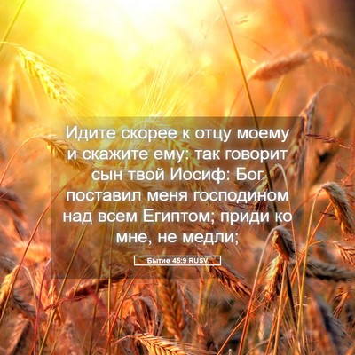 Picture 05 - Бытие 45:9 RUSV - Идите скорее к отцу моему и - Bible Verse Picture