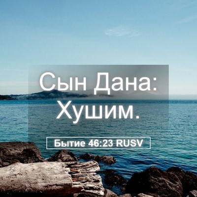 Picture 05 - Бытие 46:23 RUSV - Сын Дана: - Bible Verse Picture
