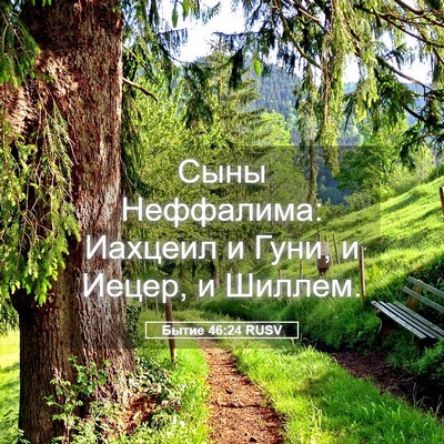 Picture 05 - Бытие 46:24 RUSV - Сыны Неффалима: Иахцеил и - Bible Verse Picture