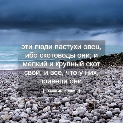 Picture 05 - Бытие 46:32 RUSV - эти люди пастухи овец, ибо - Bible Verse Picture