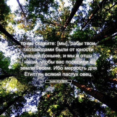 Picture 05 - Бытие 46:34 RUSV - то вы скажите: [мы], рабы - Bible Verse Picture