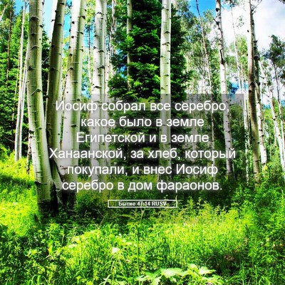 Picture 05 - Бытие 47:14 RUSV - Иосиф собрал все серебро, - Bible Verse Picture
