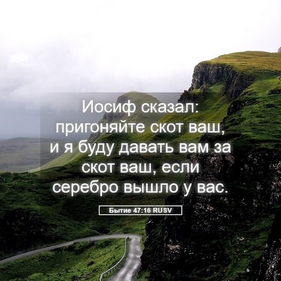 Picture 05 - Бытие 47:16 RUSV - Иосиф сказал: пригоняйте - Bible Verse Picture