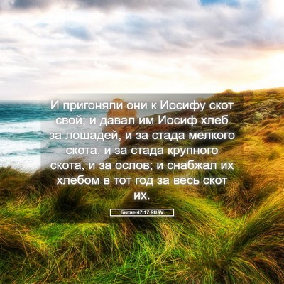 Picture 05 - Бытие 47:17 RUSV - И пригоняли они к Иосифу - Bible Verse Picture