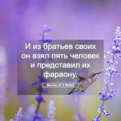 Picture 05 - Бытие 47:2 RUSV - И из братьев своих он взял - Bible Verse Picture