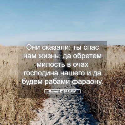 Picture 05 - Бытие 47:25 RUSV - Они сказали: ты спас нам - Bible Verse Picture