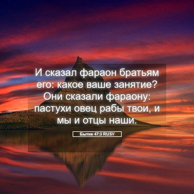 Picture 05 - Бытие 47:3 RUSV - И сказал фараон братьям - Bible Verse Picture