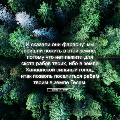 Picture 05 - Бытие 47:4 RUSV - И сказали они фараону: мы - Bible Verse Picture