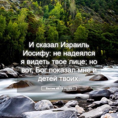 Picture 05 - Бытие 48:11 RUSV - И сказал Израиль Иосифу: не - Bible Verse Picture