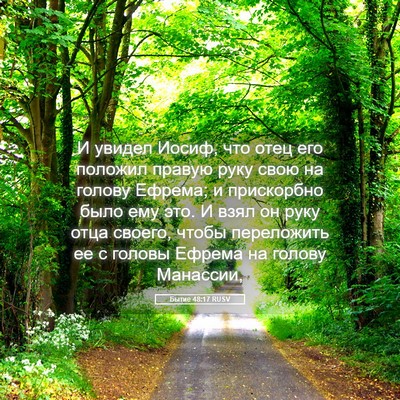 Picture 05 - Бытие 48:17 RUSV - И увидел Иосиф, что отец - Bible Verse Picture