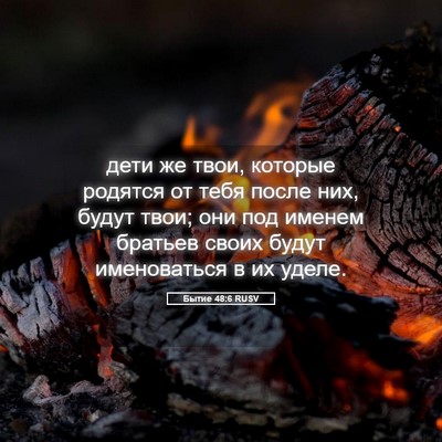 Picture 05 - Бытие 48:6 RUSV - дети же твои, которые - Bible Verse Picture