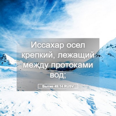 Picture 05 - Бытие 49:14 RUSV - Иссахар осел крепкий, - Bible Verse Picture