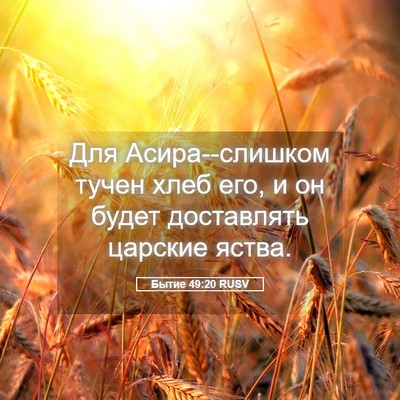 Picture 05 - Бытие 49:20 RUSV - Для Асира--слишком тучен - Bible Verse Picture