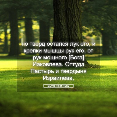 Picture 05 - Бытие 49:24 RUSV - но тверд остался лук его, и - Bible Verse Picture