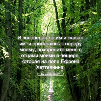 Picture 05 - Бытие 49:29 RUSV - И заповедал он им и сказал - Bible Verse Picture