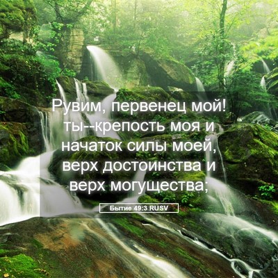 Picture 05 - Бытие 49:3 RUSV - Рувим, первенец мой! - Bible Verse Picture