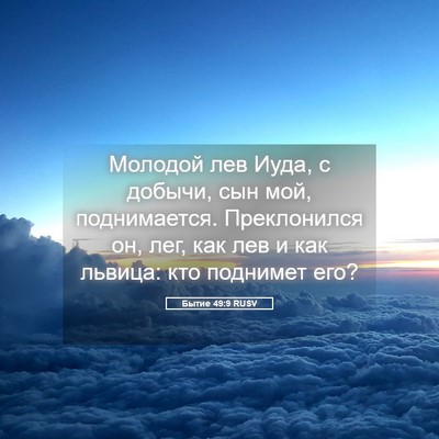 Picture 05 - Бытие 49:9 RUSV - Молодой лев Иуда, с добычи, - Bible Verse Picture
