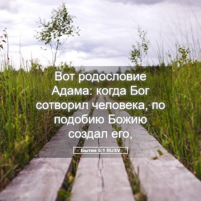 Picture 05 - Бытие 5:1 RUSV - Вот родословие Адама: - Bible Verse Picture