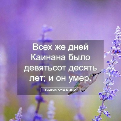 Picture 05 - Бытие 5:14 RUSV - Всех же дней Каинана было - Bible Verse Picture