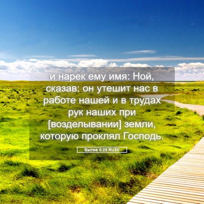Picture 05 - Бытие 5:29 RUSV - и нарек ему имя: Ной, - Bible Verse Picture