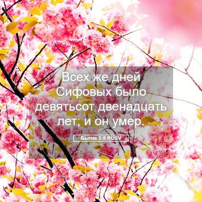 Picture 05 - Бытие 5:8 RUSV - Всех же дней Сифовых было - Bible Verse Picture