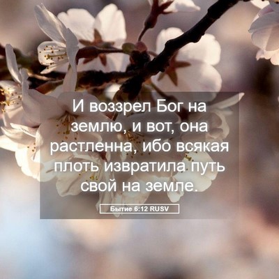 Picture 05 - Бытие 6:12 RUSV - И воззрел Бог на землю, и - Bible Verse Picture