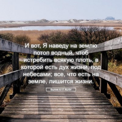 Picture 05 - Бытие 6:17 RUSV - И вот, Я наведу на землю - Bible Verse Picture