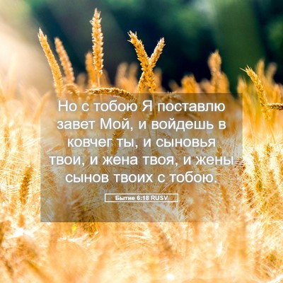 Picture 05 - Бытие 6:18 RUSV - Но с тобою Я поставлю завет - Bible Verse Picture