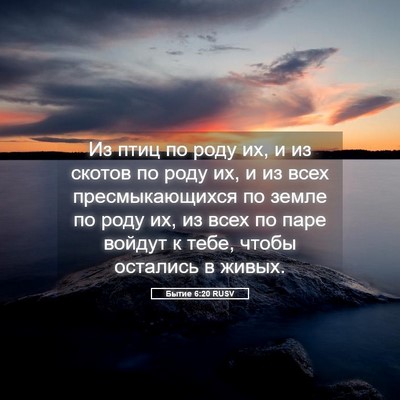 Picture 05 - Бытие 6:20 RUSV - Из птиц по роду их, и из - Bible Verse Picture