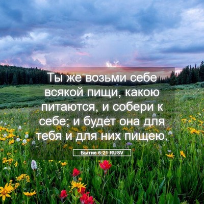 Picture 05 - Бытие 6:21 RUSV - Ты же возьми себе всякой - Bible Verse Picture