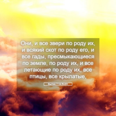 Picture 05 - Бытие 7:14 RUSV - Они, и все звери по роду их, - Bible Verse Picture