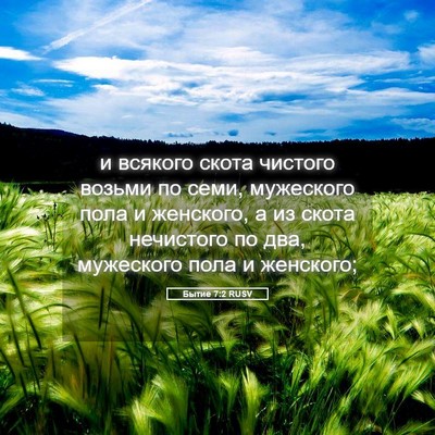 Picture 05 - Бытие 7:2 RUSV - и всякого скота чистого - Bible Verse Picture