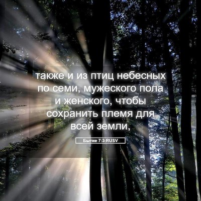 Picture 05 - Бытие 7:3 RUSV - также и из птиц небесных по - Bible Verse Picture