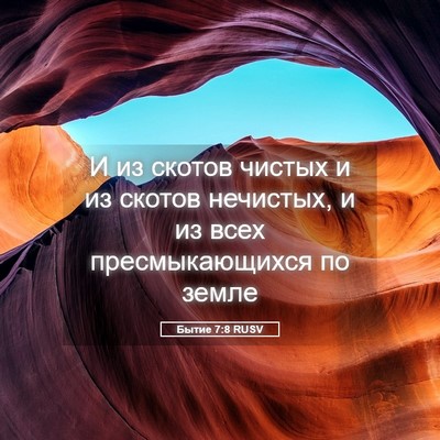Picture 05 - Бытие 7:8 RUSV - И из скотов чистых и из - Bible Verse Picture