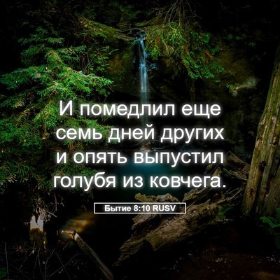 Picture 05 - Бытие 8:10 RUSV - И помедлил еще семь дней - Bible Verse Picture