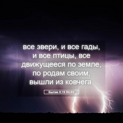 Picture 05 - Бытие 8:19 RUSV - все звери, и все гады, и все - Bible Verse Picture