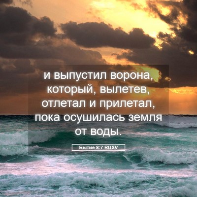 Picture 05 - Бытие 8:7 RUSV - и выпустил ворона, который, - Bible Verse Picture
