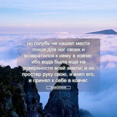 Picture 05 - Бытие 8:9 RUSV - но голубь не нашел места - Bible Verse Picture