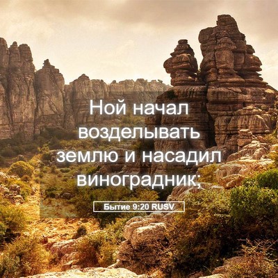 Picture 05 - Бытие 9:20 RUSV - Ной начал возделывать - Bible Verse Picture