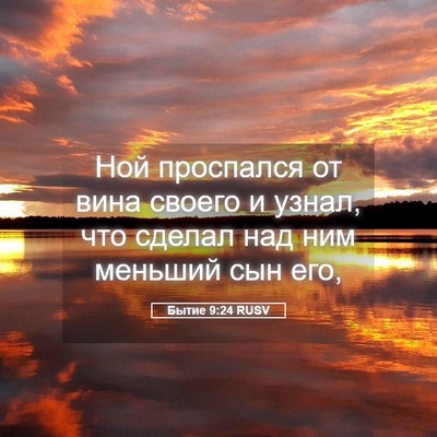 Picture 05 - Бытие 9:24 RUSV - Ной проспался от вина - Bible Verse Picture
