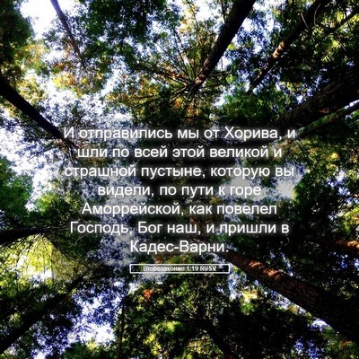 Picture 05 - Второзаконие 1:19 RUSV - И отправились мы от Хорива, - Bible Verse Picture