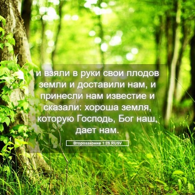 Picture 05 - Второзаконие 1:25 RUSV - и взяли в руки свои плодов - Bible Verse Picture
