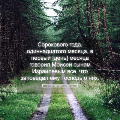 Picture 05 - Второзаконие 1:3 RUSV - Сорокового года, - Bible Verse Picture