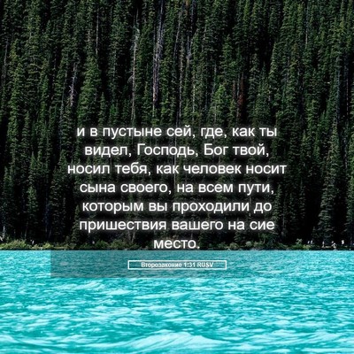 Picture 05 - Второзаконие 1:31 RUSV - и в пустыне сей, где, как ты - Bible Verse Picture