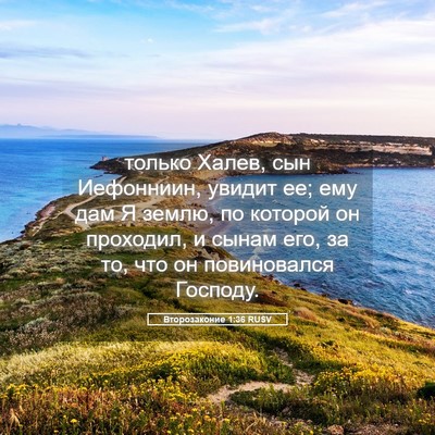 Picture 05 - Второзаконие 1:36 RUSV - только Халев, сын - Bible Verse Picture