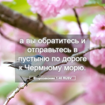 Picture 05 - Второзаконие 1:40 RUSV - а вы обратитесь и - Bible Verse Picture