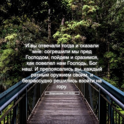 Picture 05 - Второзаконие 1:41 RUSV - И вы отвечали тогда и - Bible Verse Picture