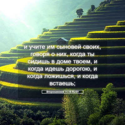 Picture 05 - Второзаконие 11:19 RUSV - и учите им сыновей своих, - Bible Verse Picture
